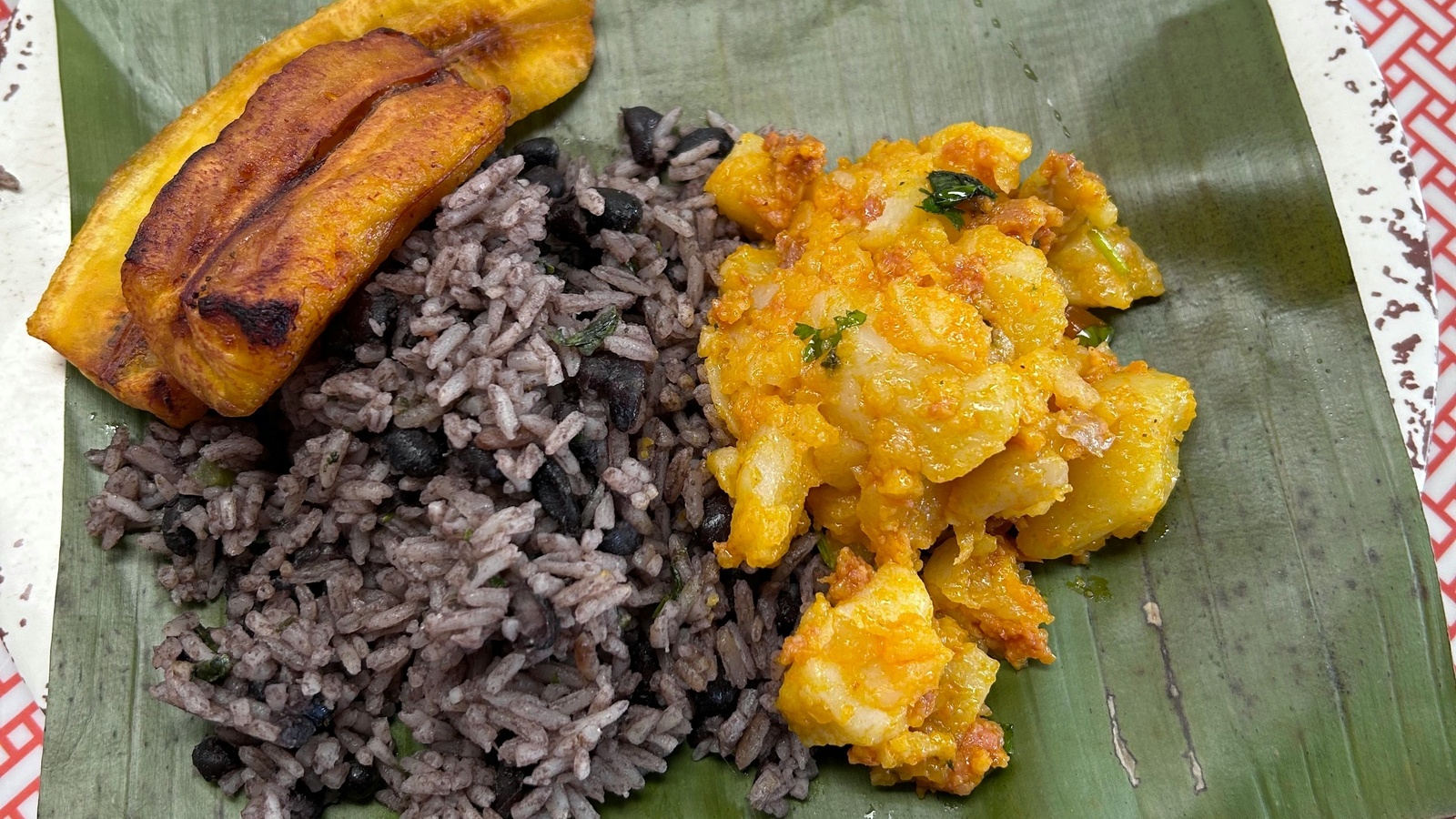 Variety of plantain recipes on a kitchen counter